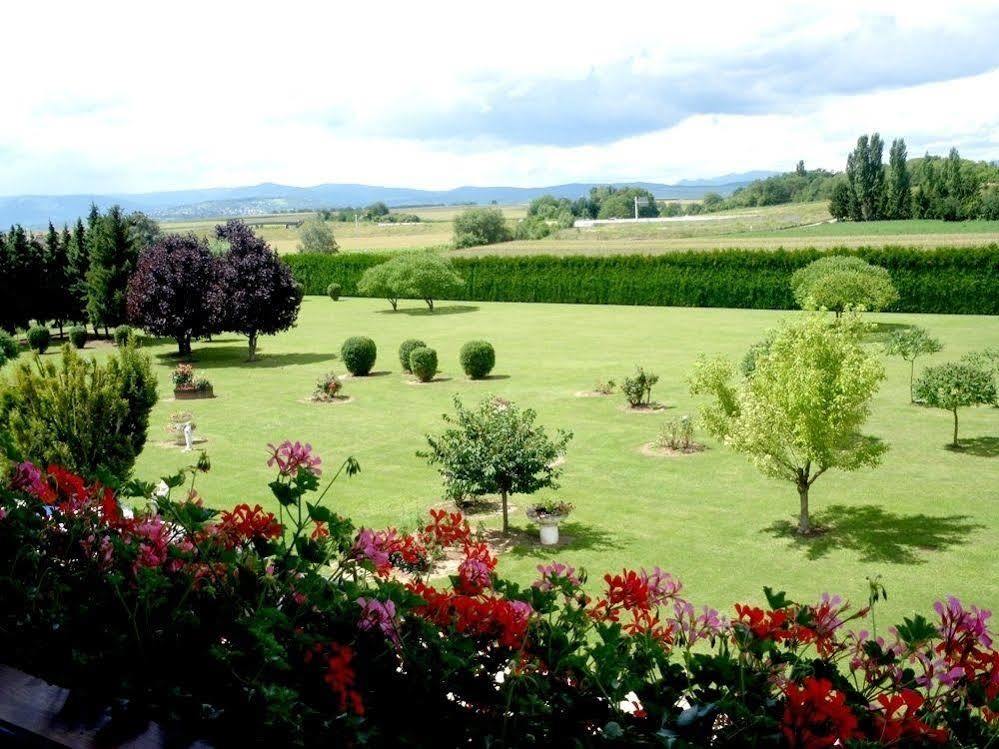 Hotel Au Cep De Vigne Innenheim Extérieur photo